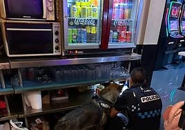 Un agente registra el local acompañado de la unidad canina.