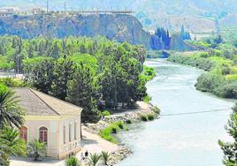 El río Segura a su llegada al Azud de Ojós.