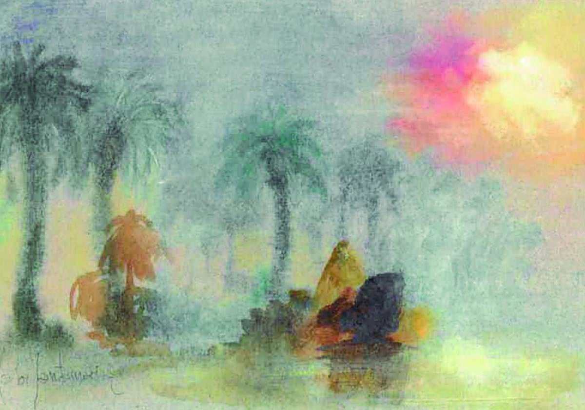 Charcos en el palmeral.