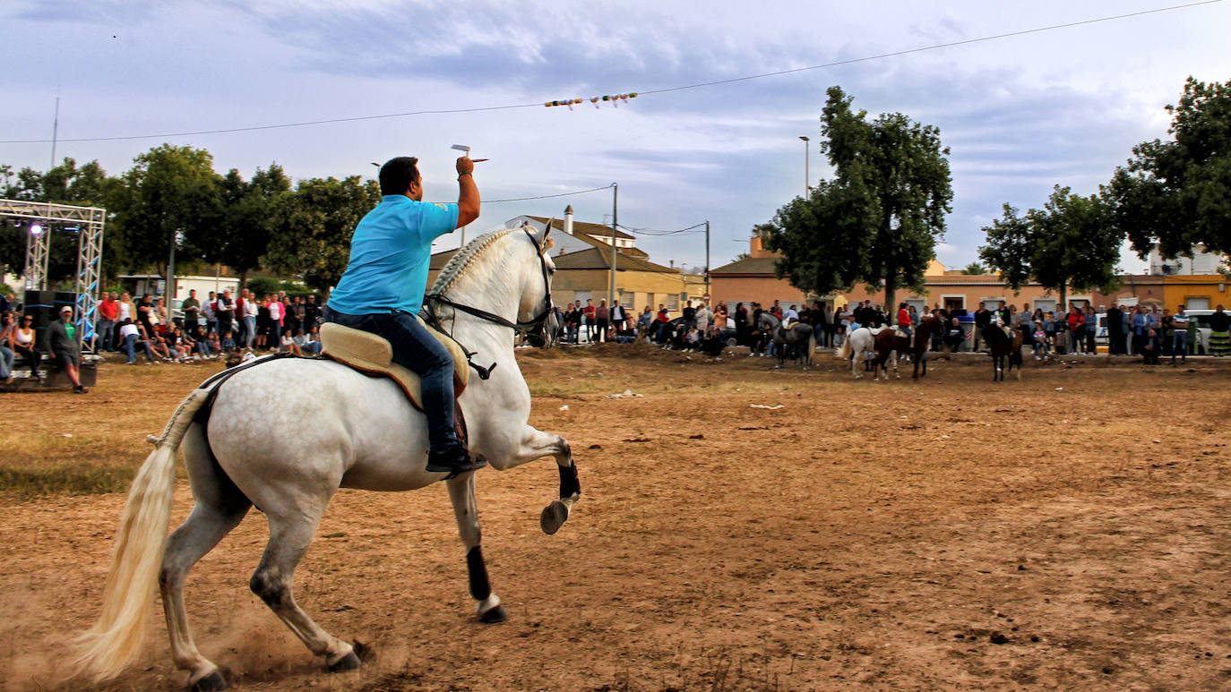 Exposición Tiempo de Fiesta II, en imágenes