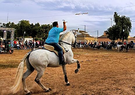 Imagen secundaria 1 - En grande, Gran Cabalgata de Jumilla; Carrera de cintas a caballo en Pozo Estrecho y Los Cherros de Zeneta, en pequeño.