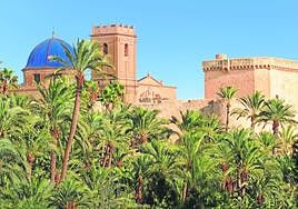 Palmeral de Elche, Patrimonio Mundial por la Unesco.