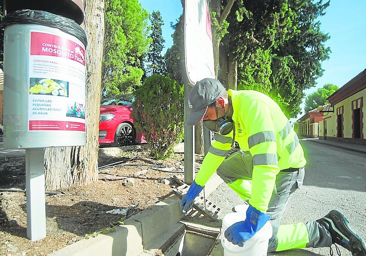 Un operario aplica un tratamiento con los insectos en un imbornal.