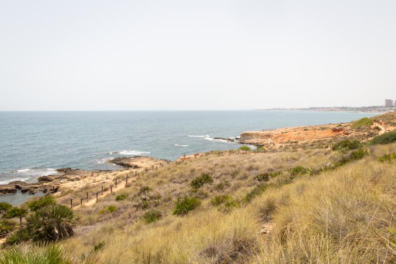 Así es la microrreserva de flora de la punta de La Glea