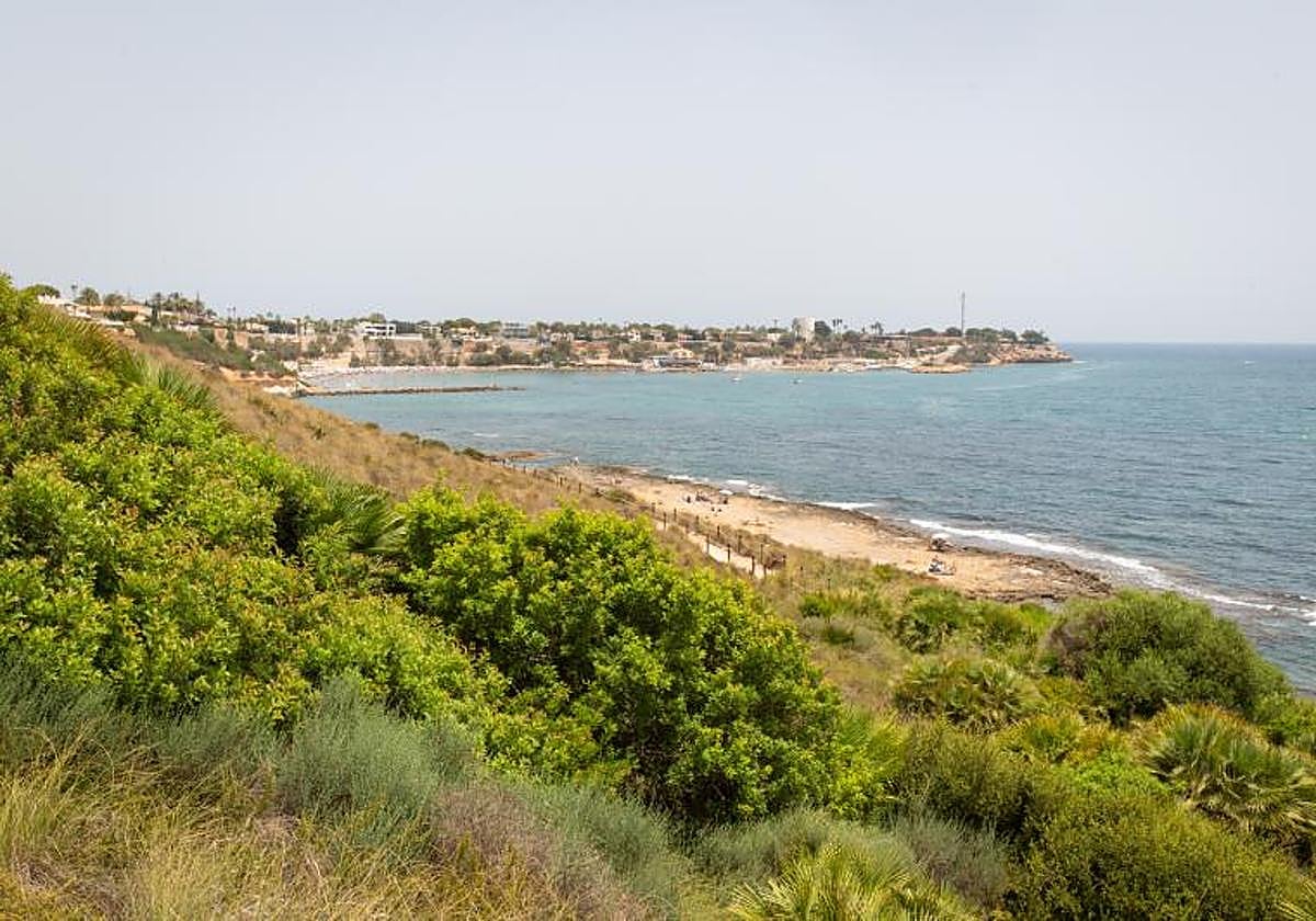 Así es la microrreserva de flora de la punta de La Glea