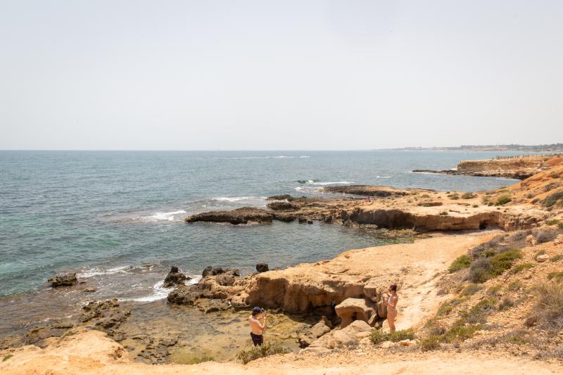 Así es la microrreserva de flora de la punta de La Glea