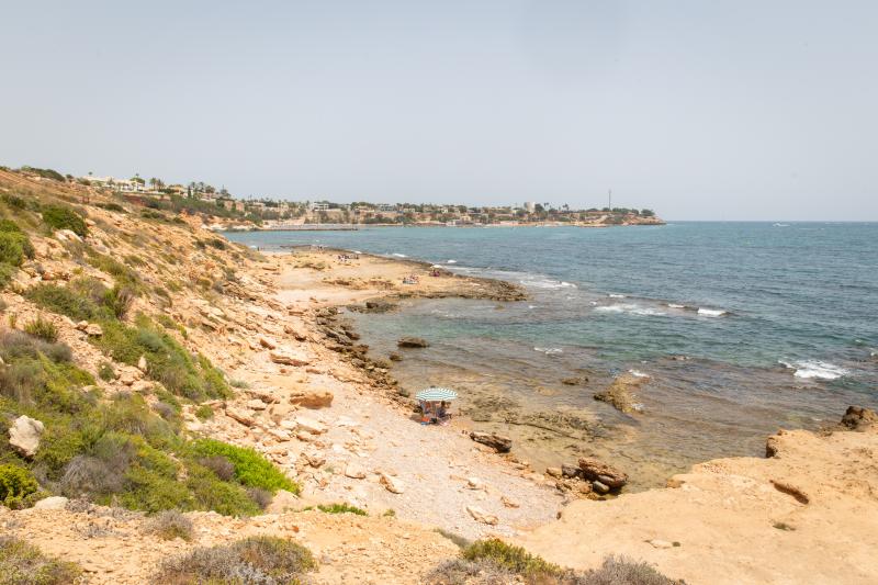 Así es la microrreserva de flora de la punta de La Glea