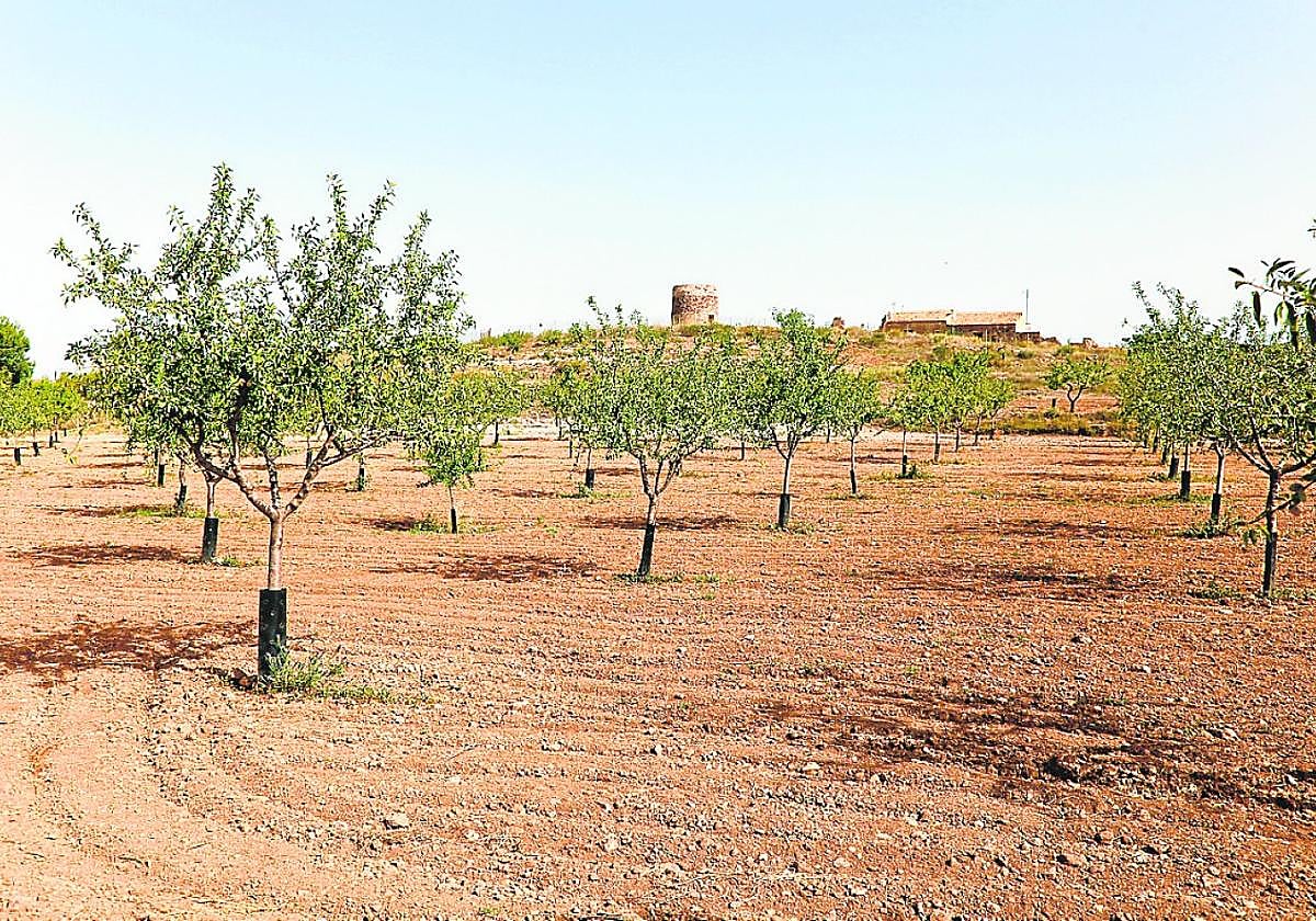 Finca de Los Puertos de Santa Bárbara en la que se harán prospecciones.