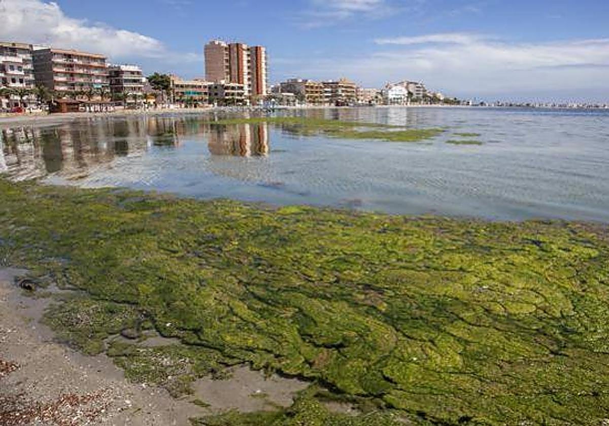 Contaminación en el Mar Menor, en una imagen de archivo.