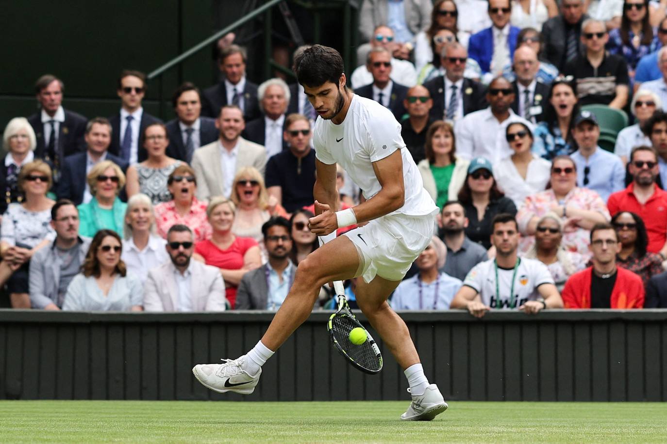 La final de Wimbledon entre Carlos Alcaraz y Novak Djokovic, en imágenes