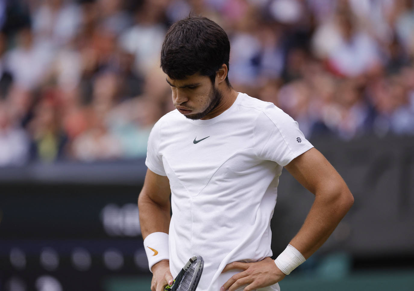 La final de Wimbledon entre Carlos Alcaraz y Novak Djokovic, en imágenes