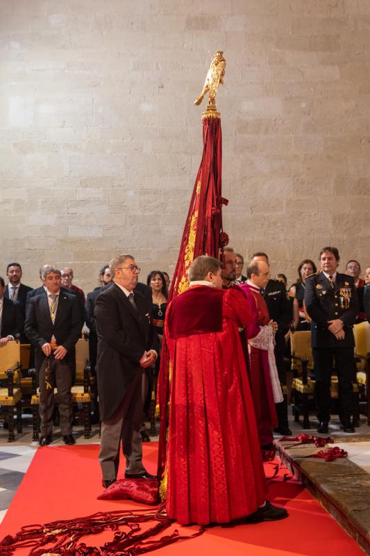 El día del Pájaro, en imágenes