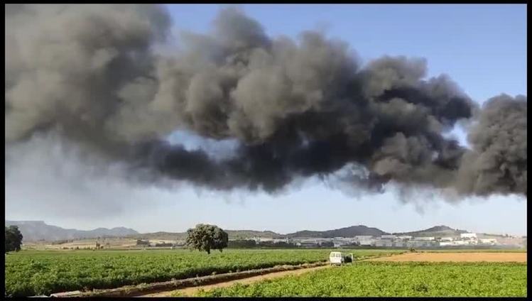 Aparatoso incendio en una fábrica de corcho en Caravaca
