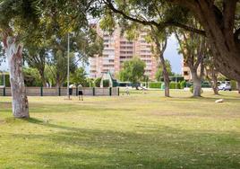 Jardín en una urbanización de Campoamor.