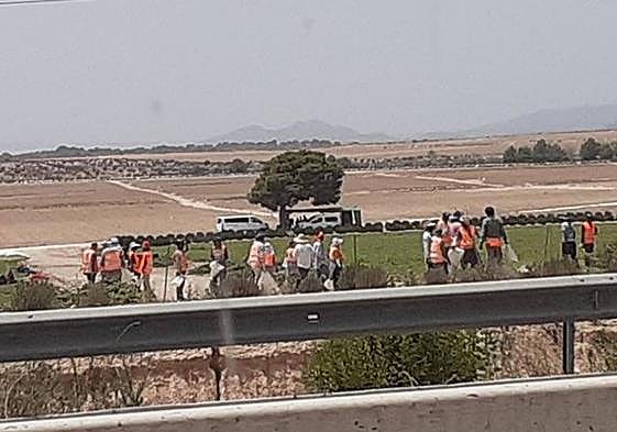 Jornaleros trabajan en el campo este miércoles en pleno aviso rojo por calor.