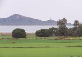 Zona regable próxima al Mar Menor, con la Isla del Barón al fondo.