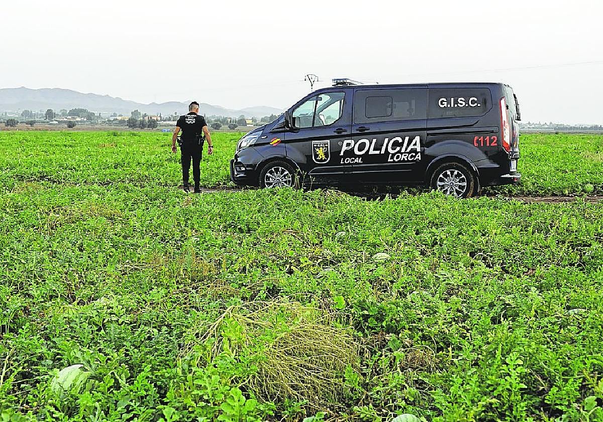 Un agente durante su labor de vigilancia de una plantación de sandías de la pedanía de Campillo.