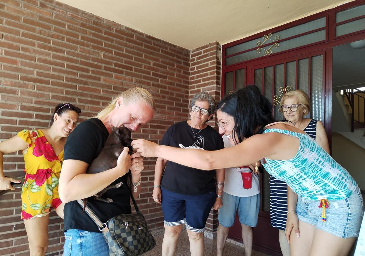 Una familia de Rojales se reencuentra con su perro desaparecido hace siete años