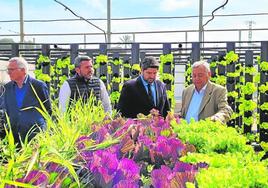 El presidente regional, Fernando López Miras, y el consejero de Agua, Agricultura, Ganadería y Pesca, Antonio Luengo, ambos en funciones, visitan una empresa agrícola.