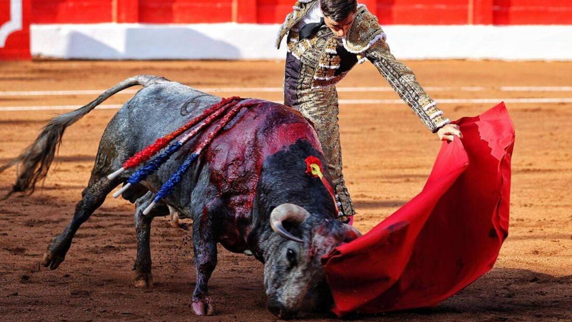 Ureña corta una oreja en Santander | La Verdad