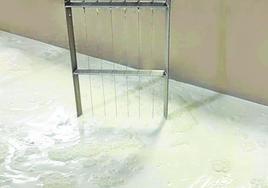 El queso se realiza de forma artesanal.