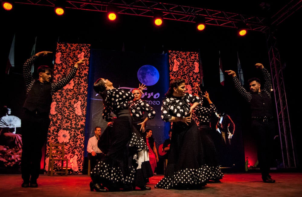 La final del Festival flamenco de Lo Ferro, en imágenes