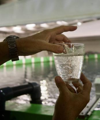 Imagen secundaria 2 - Arriba, los tanques de la planta del IEO en Mazarrón, donde se realiza el cultivo larvario y se alimenta a los alevines. Abajo, Fernando de la Gándara revisa una muestra de agua en la ICRA. 