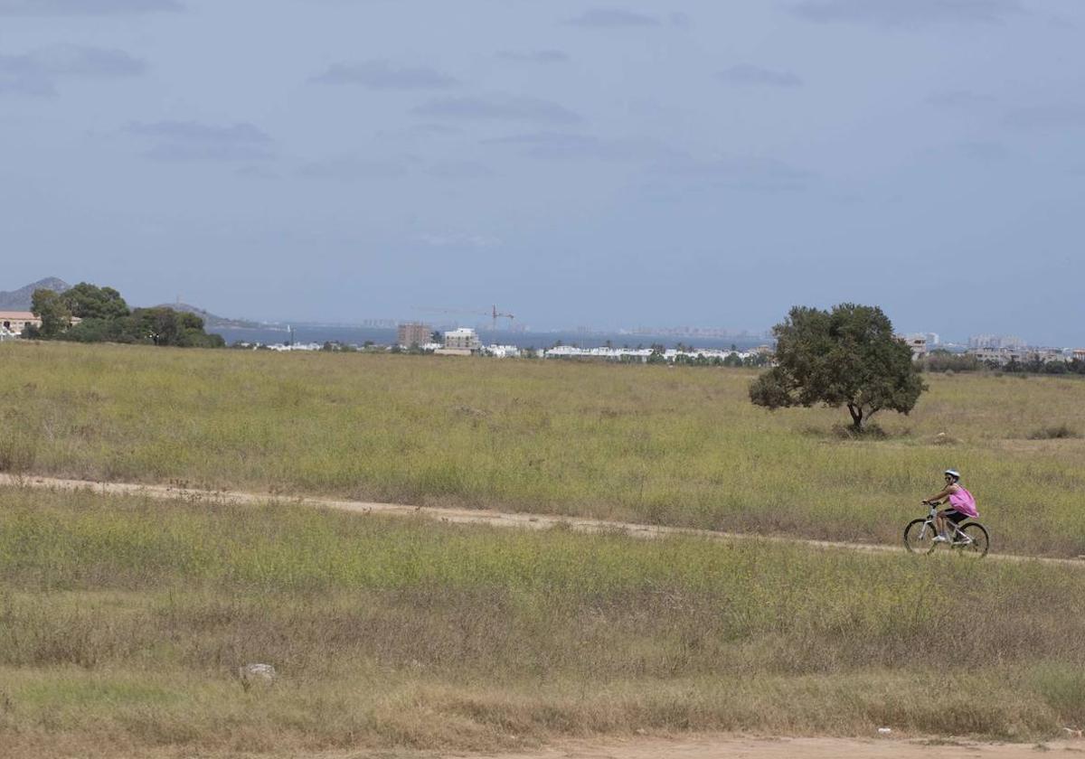 Terrenos de Los Belones donde iría la posible construcción de nuevas viviendas.