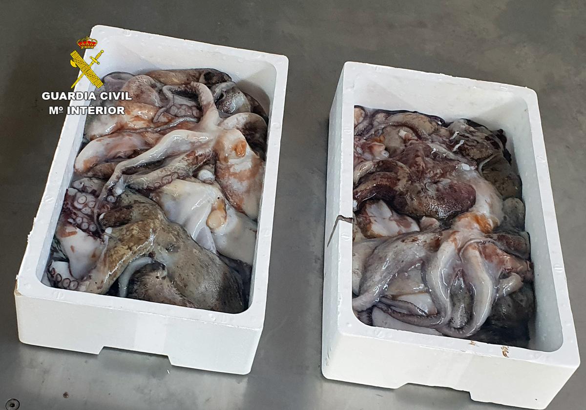 Las dos cajas intervenidas.