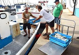 Antonio Jesús López 'El del Estacio', descarga, ayer, las pocas cajas de pescado del día en el muelle de Lo Pagán.