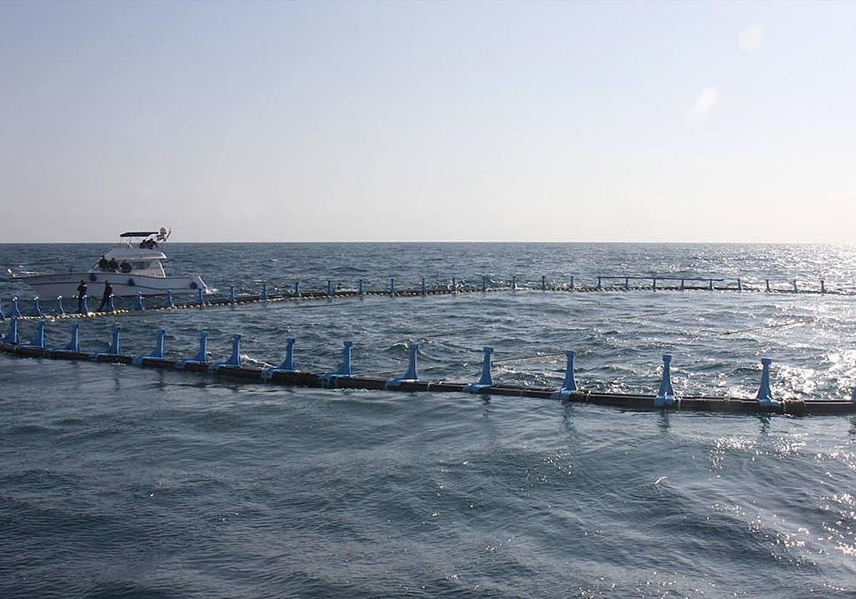 Imagen de archivo de una piscifactoría en El Gorguel.