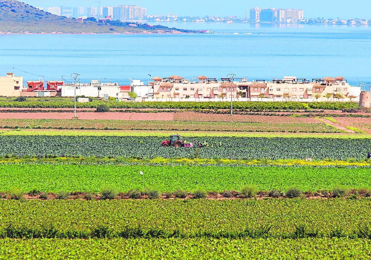 Cultivos y viviendas, en la ribera sur del Mar Menor, en una imagen de archivo.