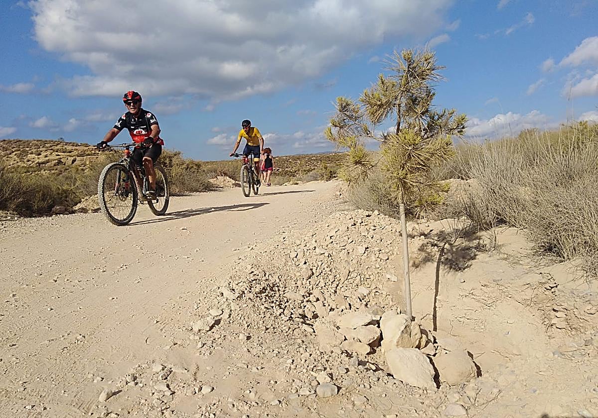 Dos ciclistas pasan junto a una de las zonas reforestadas con pinos, cerca de la playa de La Grúa.