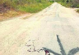 Restos de sangre en un camino de uno de los ciclistas accidentados.