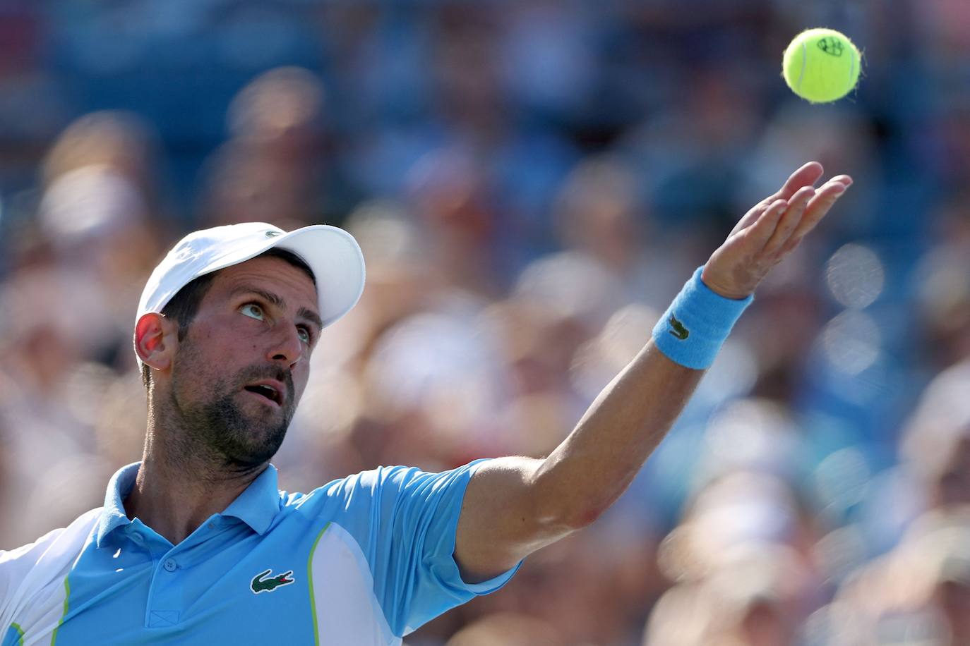 La final de Cincinnati entre Alcaraz y Djokovic, en imágenes