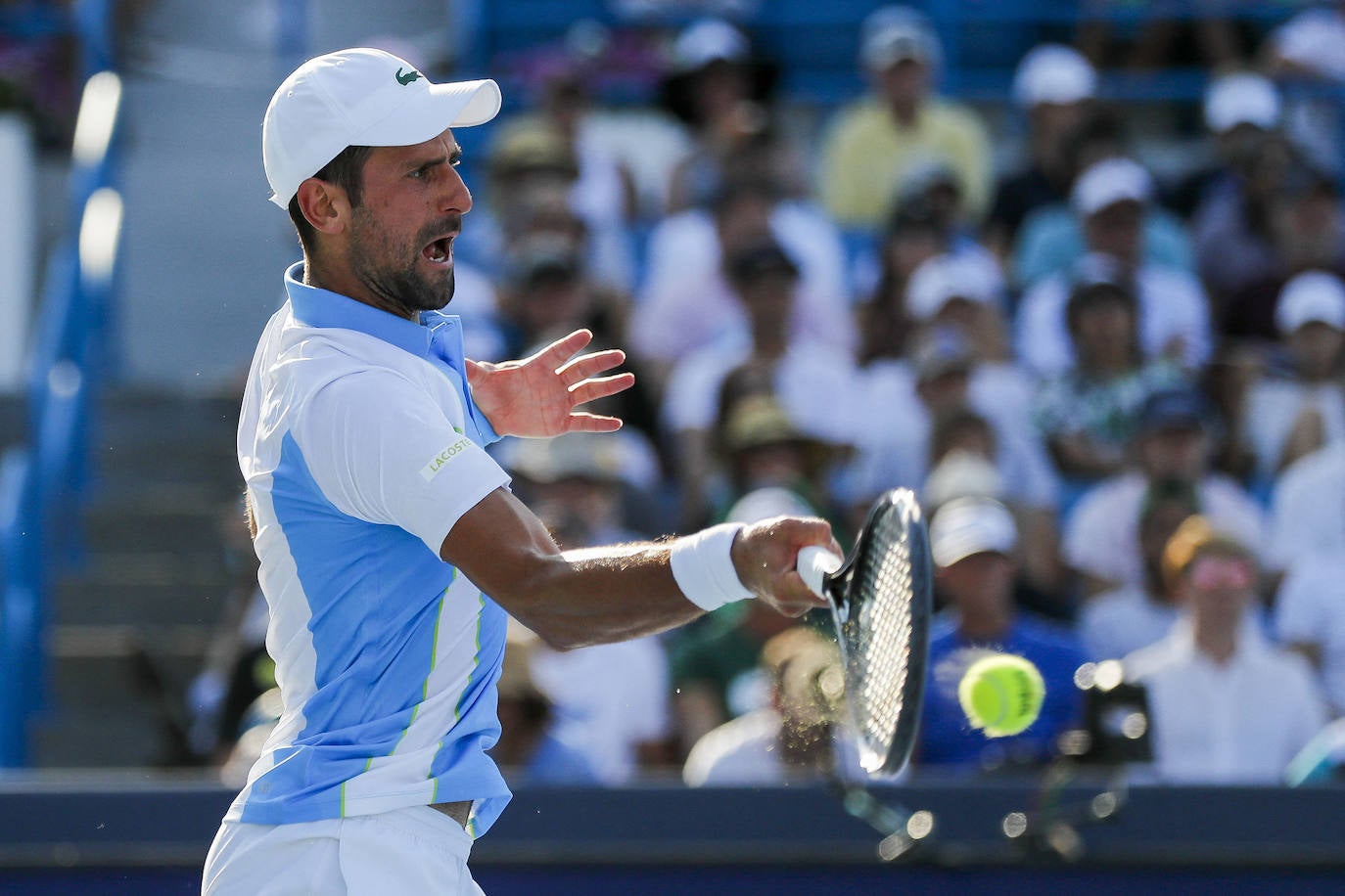 La final de Cincinnati entre Alcaraz y Djokovic, en imágenes