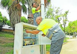 Dos electricistas revisan una instalación en el jardín del Malecón de Murcia.