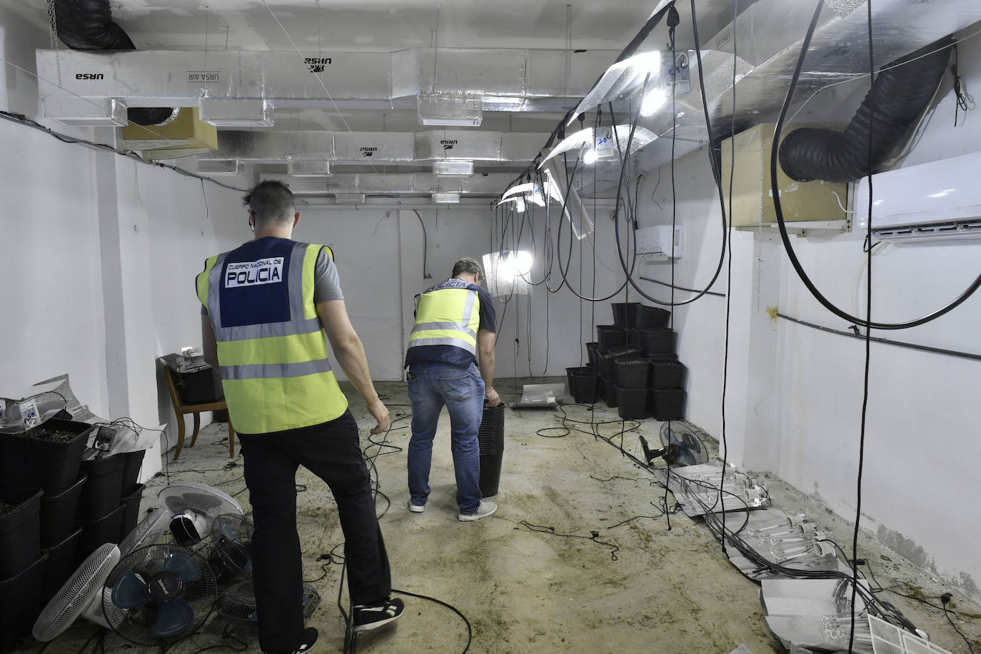 La redada de marihuana en Patiño, en imágenes