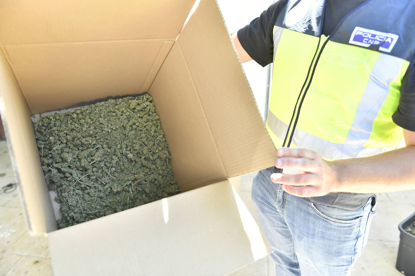 La redada de marihuana en Patiño, en imágenes