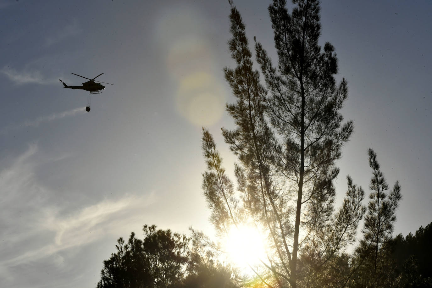 Los trabajos de extinción del incendio forestal en el parque regional del Valle en Murcia, en imágenes