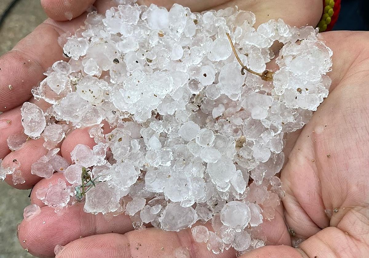 Pedrisco caído este miércoles en Zarzadilla de Totana.