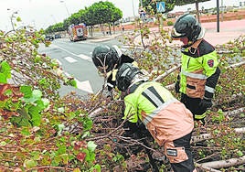 Bomberos de Murcia retiran ramas caídas por los fuertes vientos que azotaron la capital.