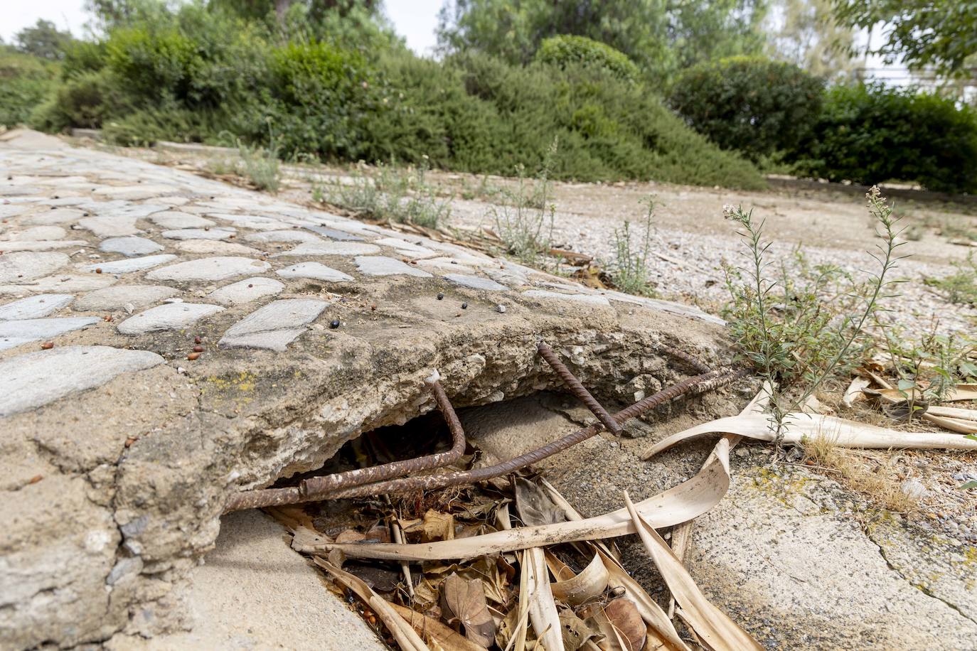 Las imágenes del deterioro del Parque de la Rosa de Cartagena