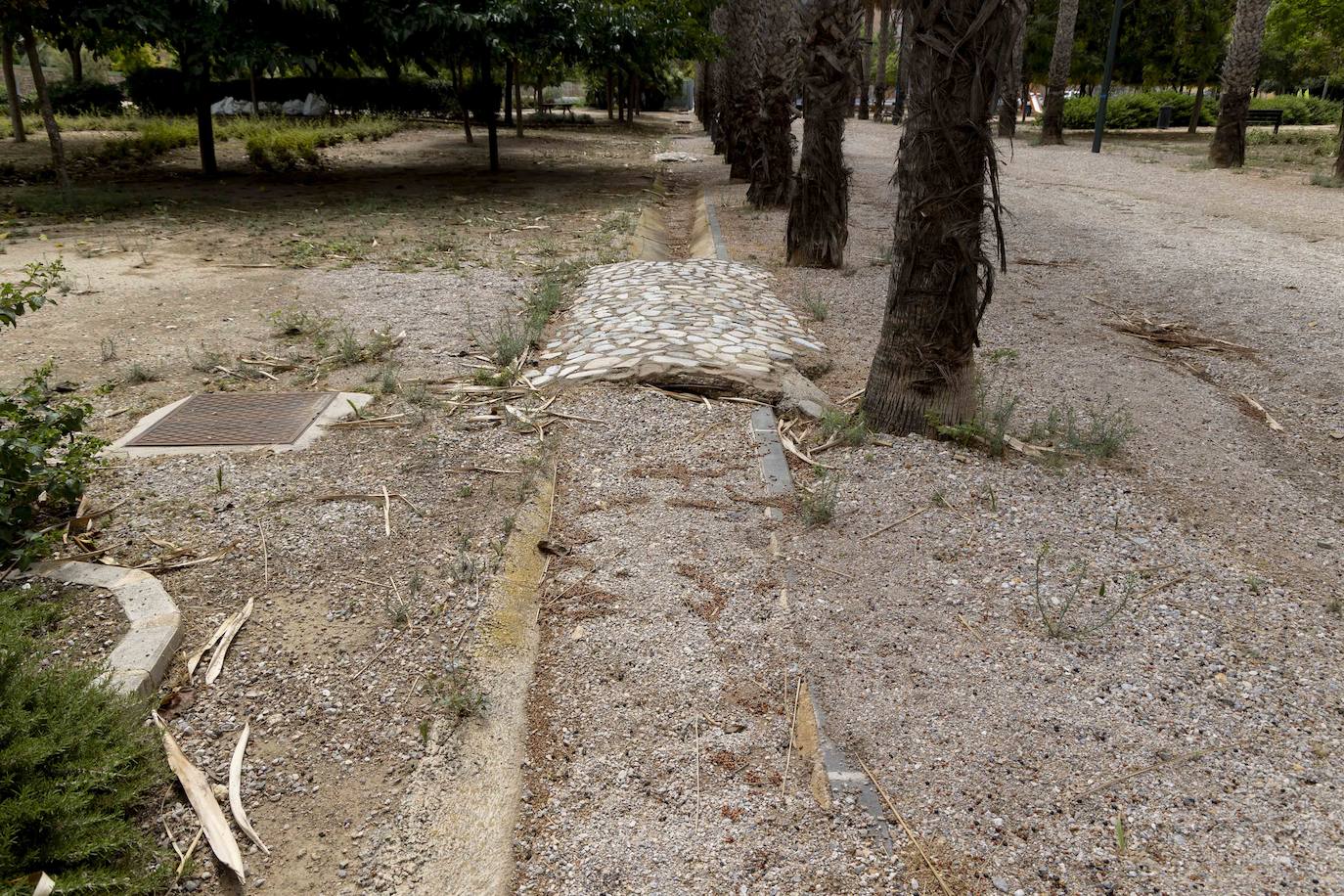 Las imágenes del deterioro del Parque de la Rosa de Cartagena