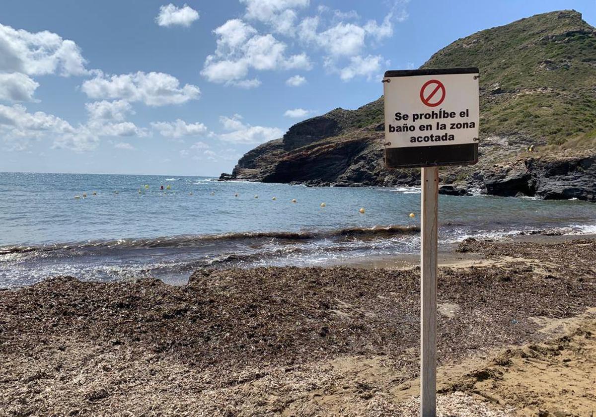 Cierran al baño Cala Reona otra vez por el segundo vertido de aguas fecales estival