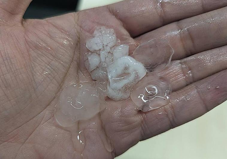 Pedriscos de granizo de considerable tamaño caídos este martes en Murcia.