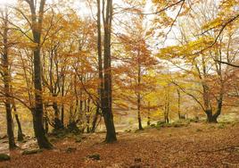 ¿Cuándo empieza el otoño en España este 2023?