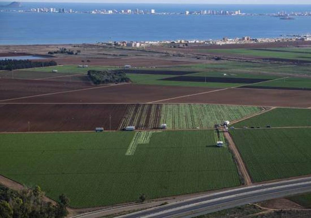 Imagen de archivo de unos cultivos y el Mar Menor de fondo.