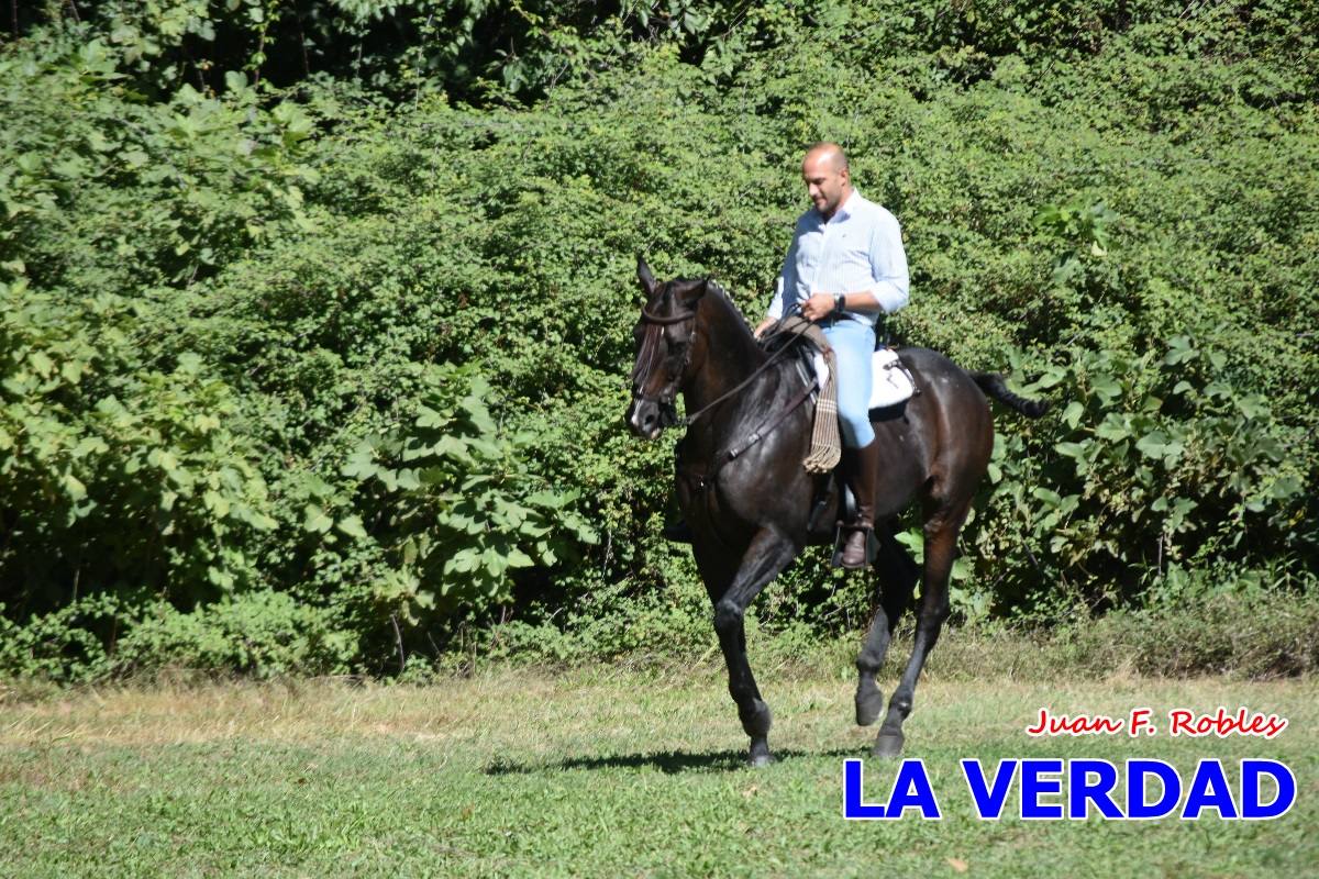 Romería caballista a las Fuentes del Marqués en Caravaca - 05