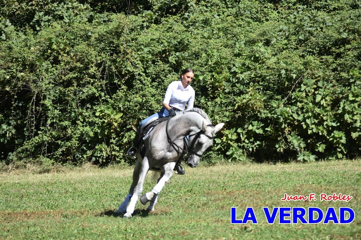 Romería caballista a las Fuentes del Marqués en Caravaca - 05